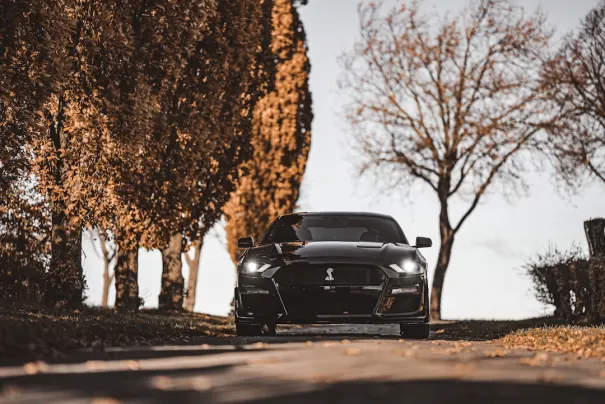 Fbet Kazino Android/iOS programa